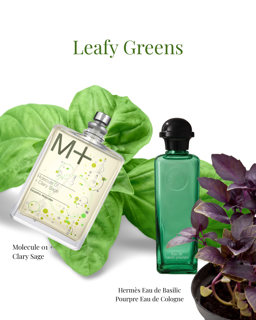 Leafy greens