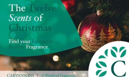 blog banner christmas1 1