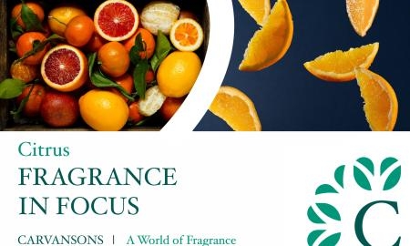 FIF citrus 1 scaled