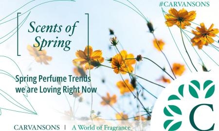 spring1