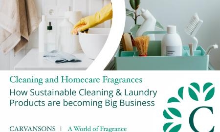FIF eco and sustainable cleaning 1 scaled
