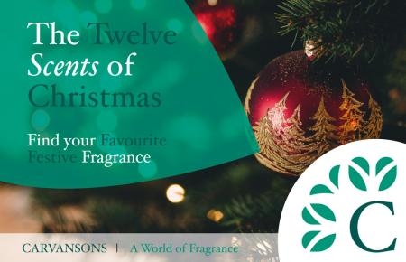 blog banner christmas1 1