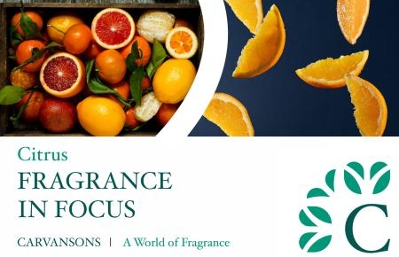 FIF citrus 1 scaled