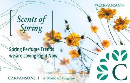 spring1