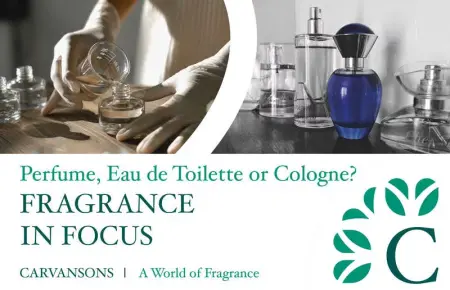 perfume or eau de toilette1 jpg