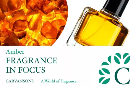 FIF Amber scaled