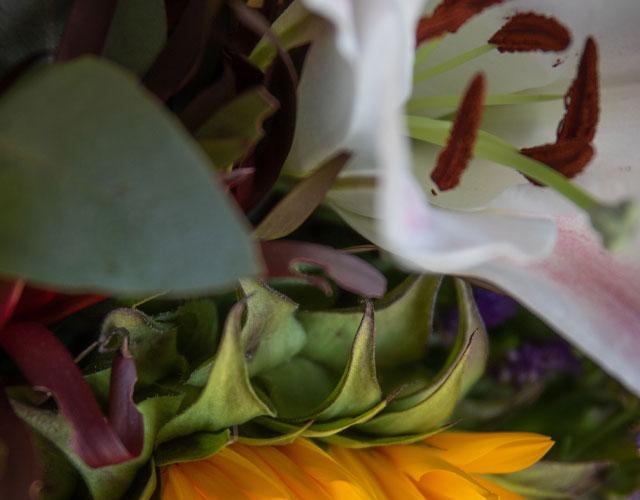 flowers bouquet