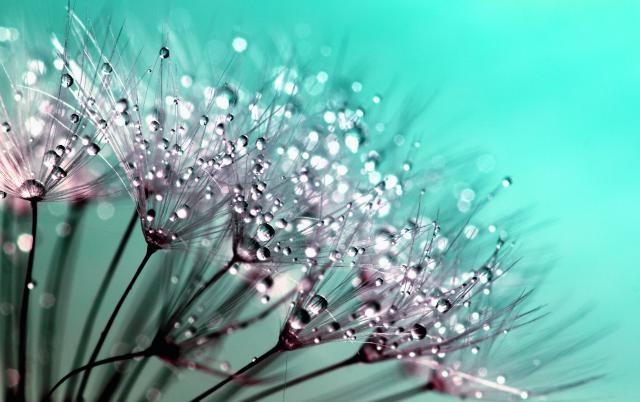 Fragrance allergens