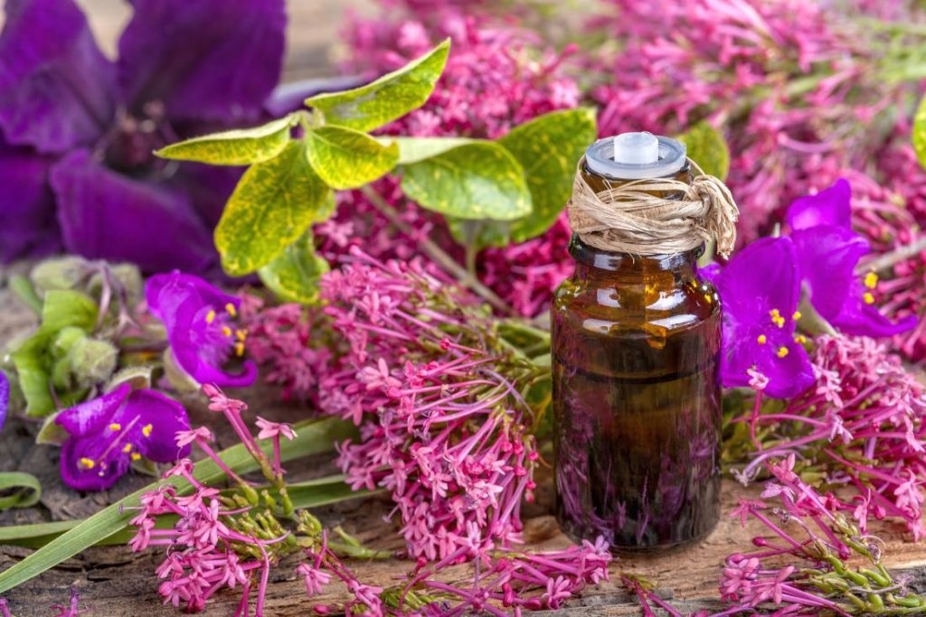 Clary Sage