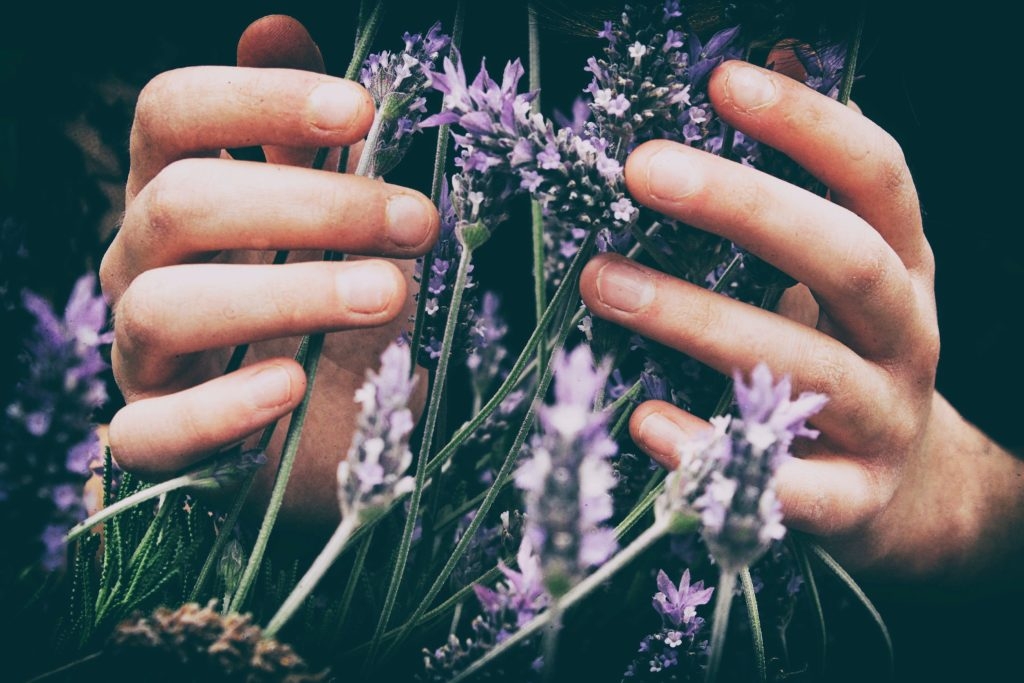 functional fragrance