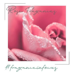 rose fragrances
