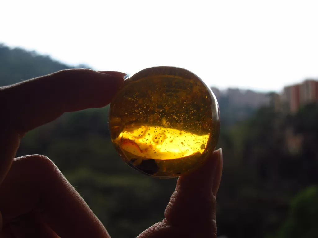 AMBER FRAGRANCE OIL