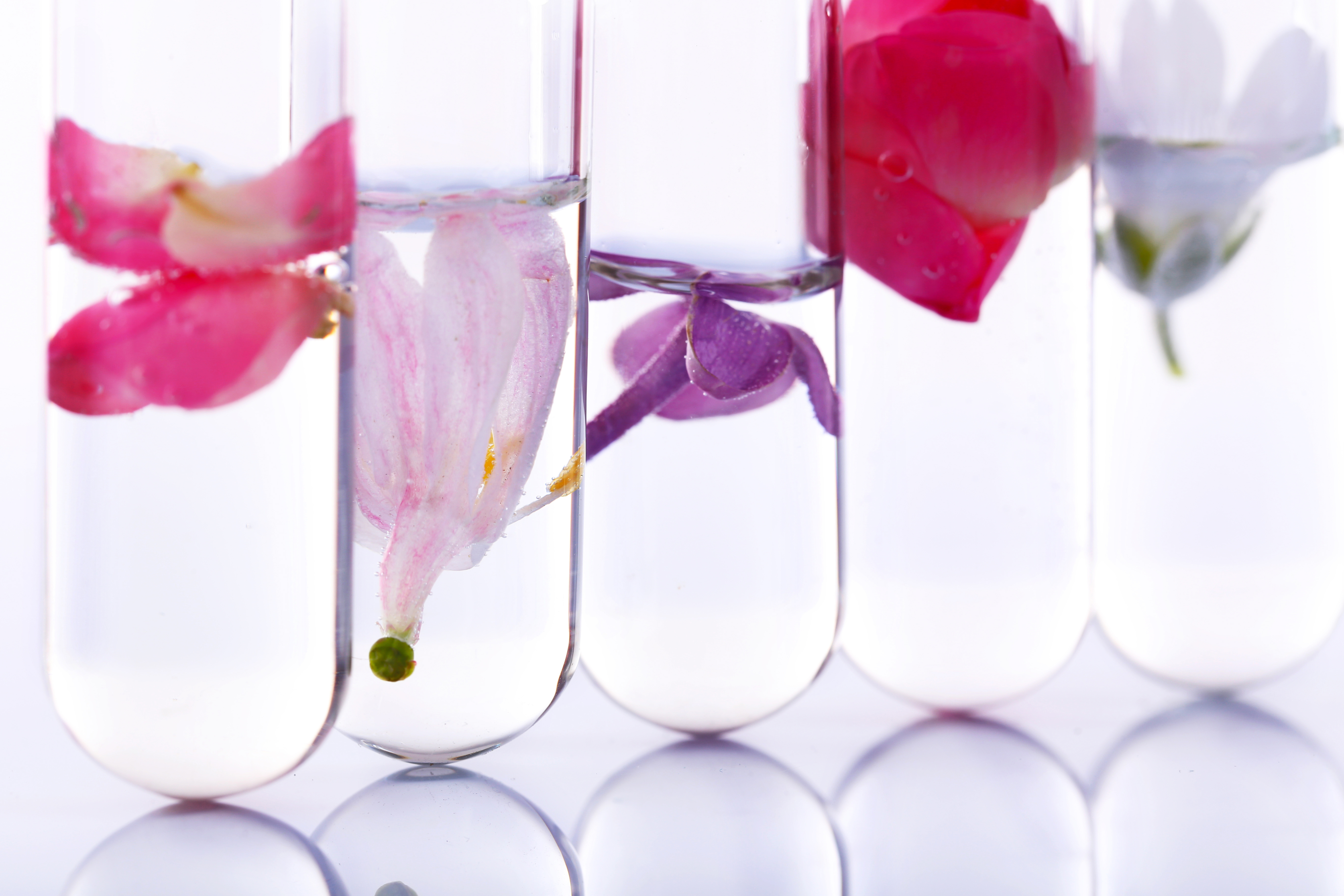 Frequently Asked Questions