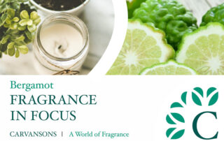 what does bergamot smell like
