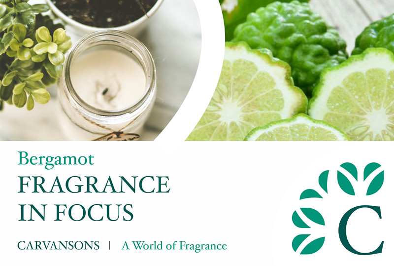 what does bergamot smell like