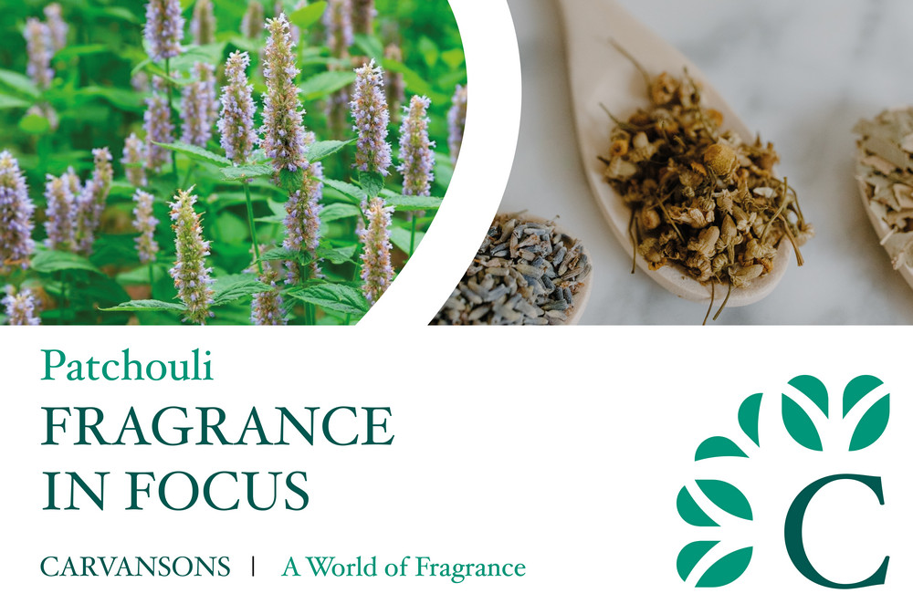 Patchouli fragrance