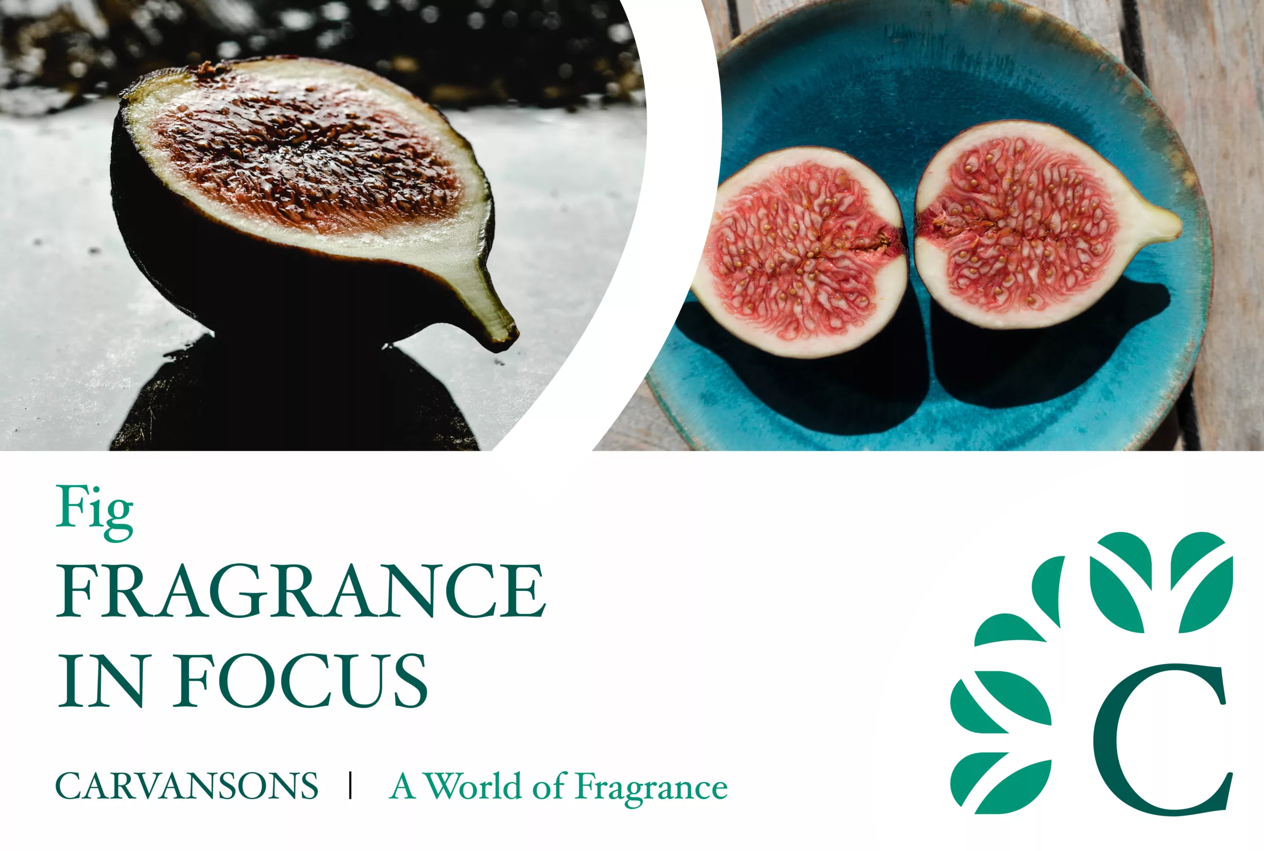 Fig fragrances