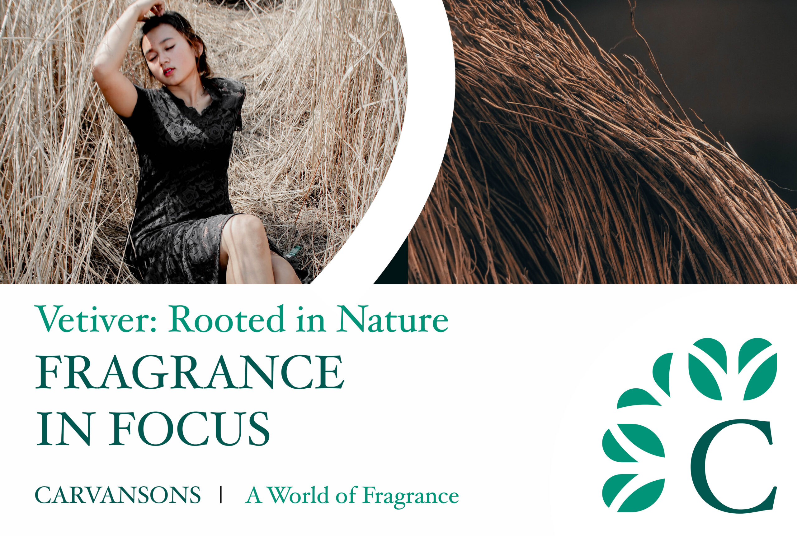 vetiver fragrances